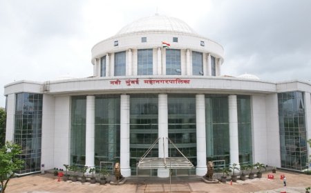 Mumbai Job | नवी मुंबई महानगरपालिकेत 132 पदांची भरती;  पाहा ऑनलाईन अर्जाची अंतिम तारीख!